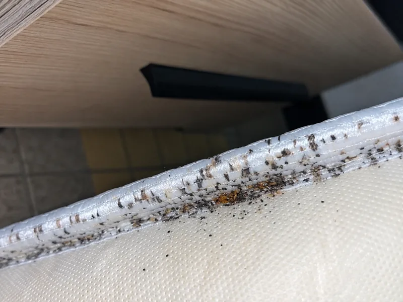 Traces de punaises de lit sur la couture d’un matelas à Marseille